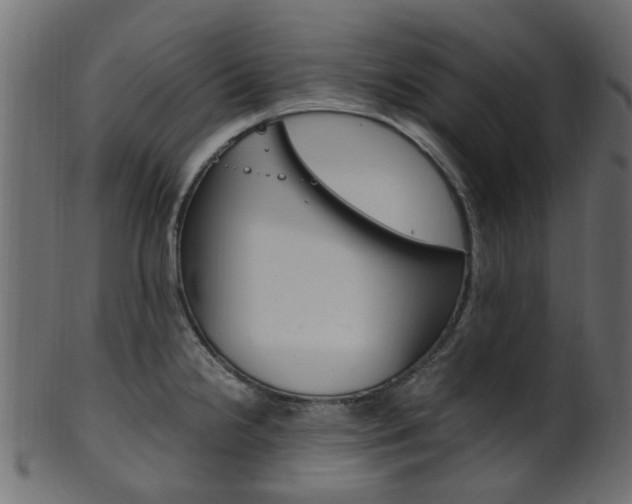 X0000102031238200807180959