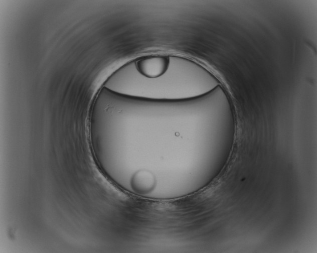 X0000102031239200807180959
