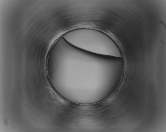 X0000102031240200807180959