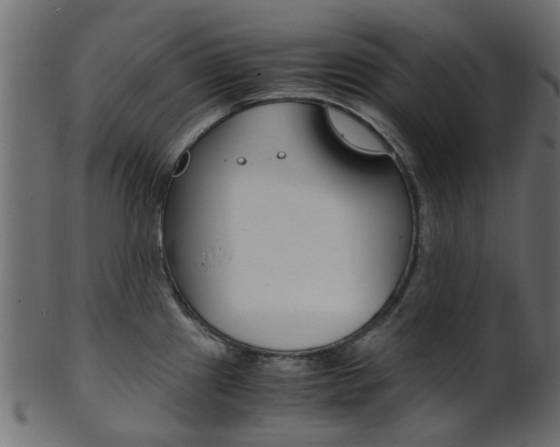 X0000102031241200807180959