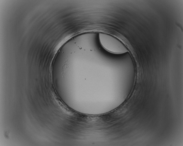 X0000102031242200807180959