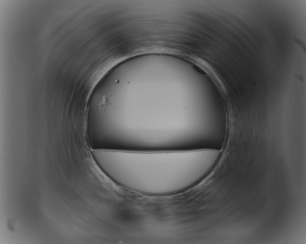 X0000102031244200807180959