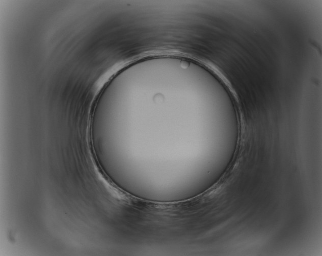X0000102031245200807180959
