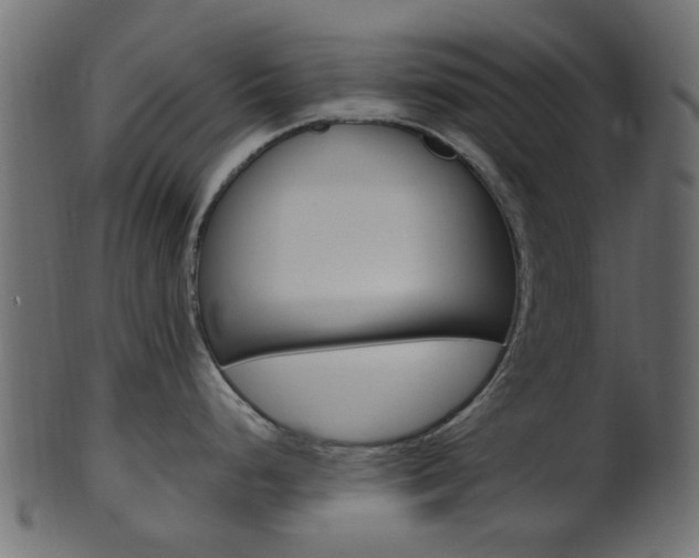 X0000102031248200807180959
