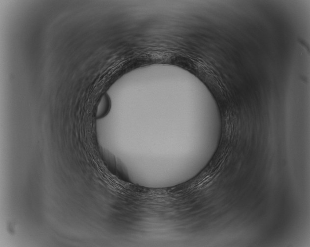 X0000102031249200807180958