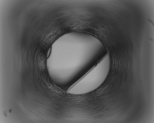 X0000102031250200807180958