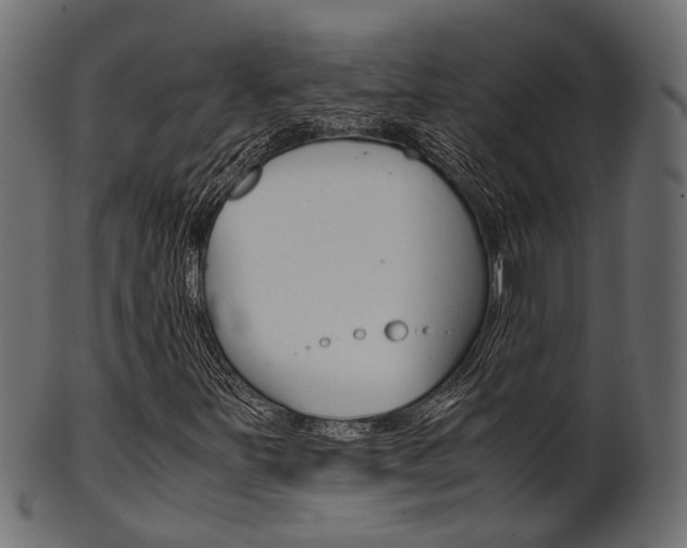 X0000102031251200807180958