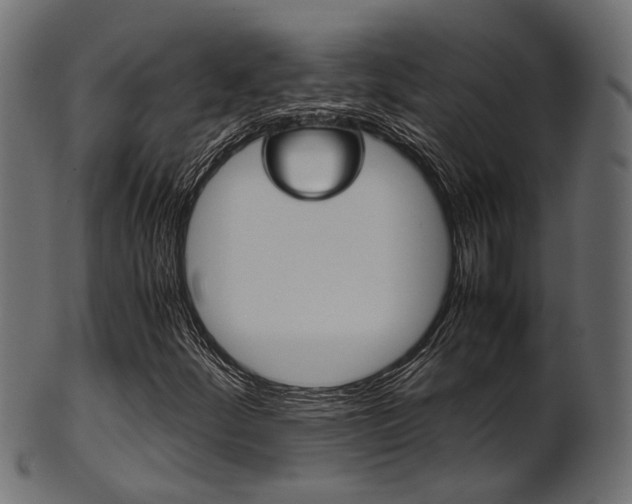 X0000102031252200807180958