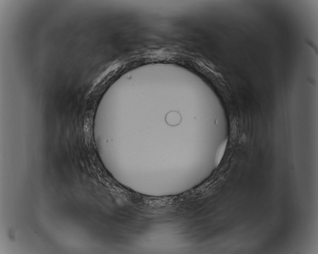 X0000102031254200807180958