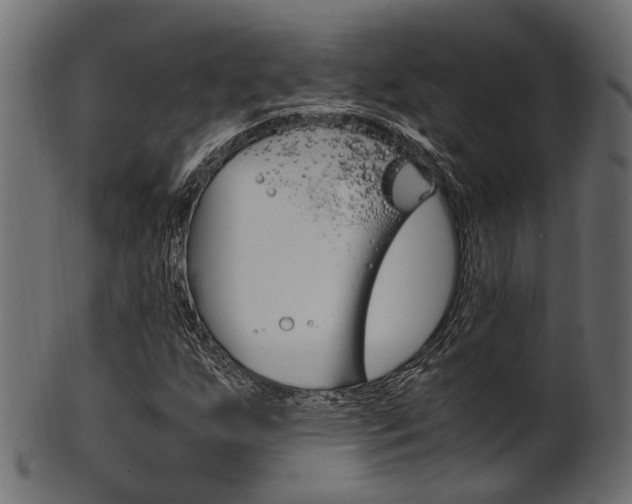 X0000102031255200807180958