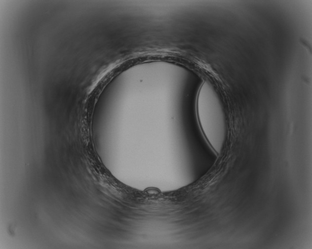 X0000102031256200807180958