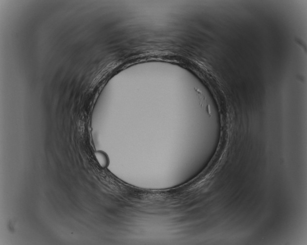 X0000102031257200807180958