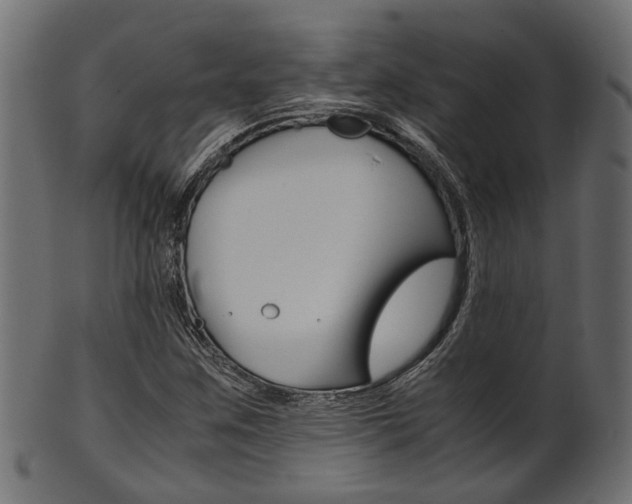 X0000102031259200807180958