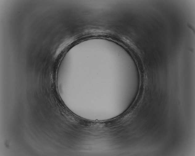 X0000102031261200807180958