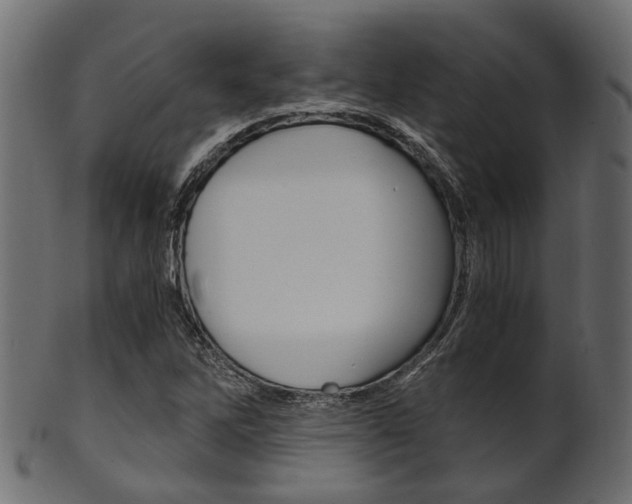 X0000102031262200807180958