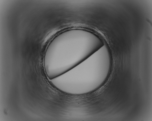 X0000102031263200807180958