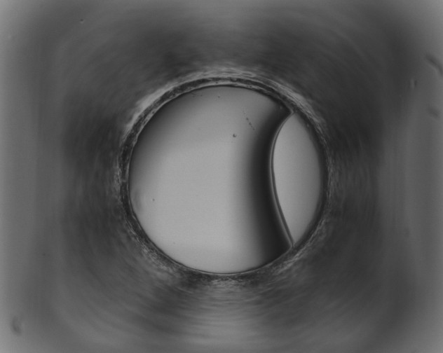 X0000102031264200807180958