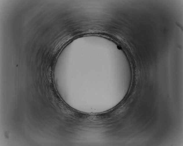 X0000102031265200807180958