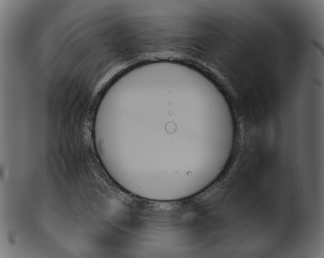 X0000102031266200807180958