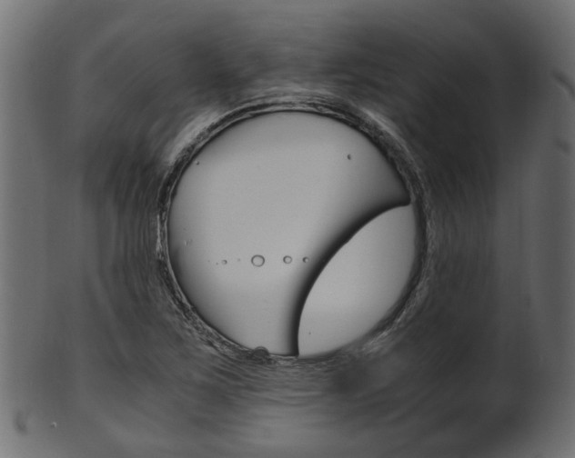 X0000102031267200807180958
