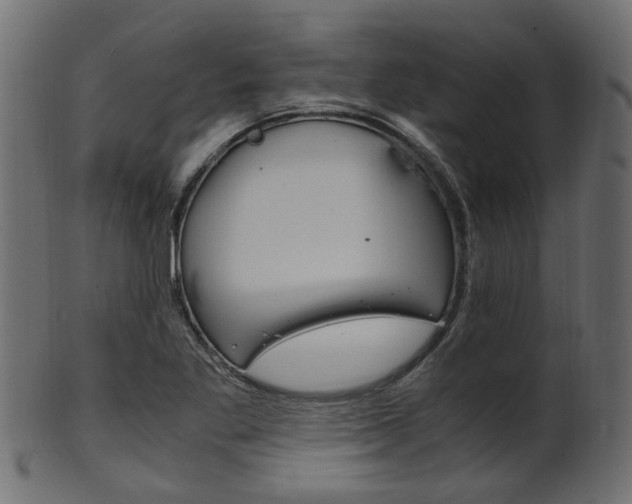 X0000102031269200807180958