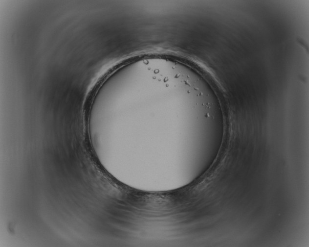 X0000102031270200807180958