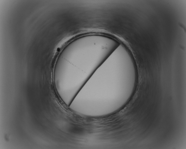 X0000102031271200807180958