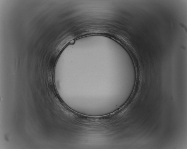 X0000102031273200807180958