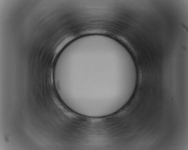 X0000102031274200807180958