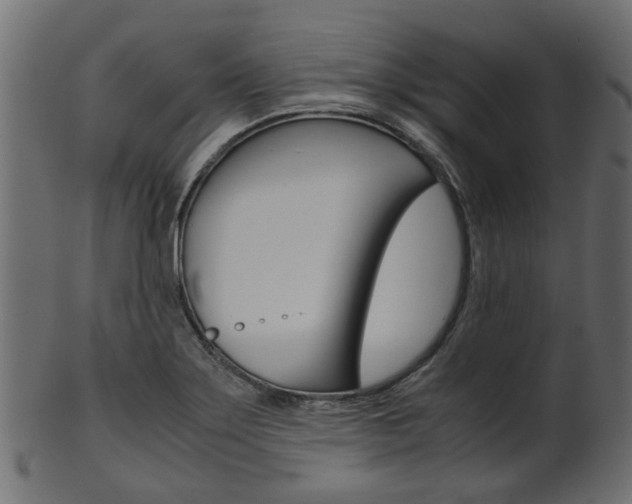 X0000102031275200807180958