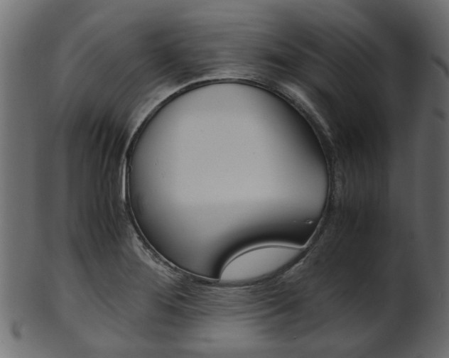X0000102031276200807180958