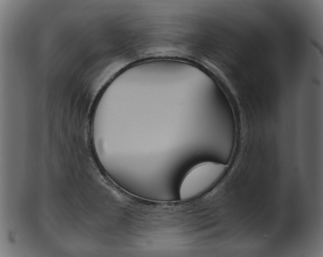 X0000102031277200807180958