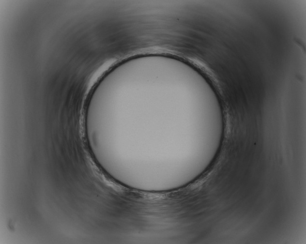 X0000102031278200807180958