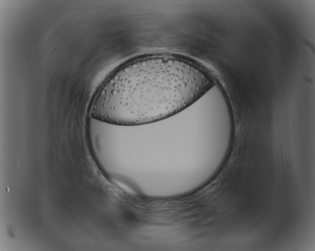 X0000102031279200807180958