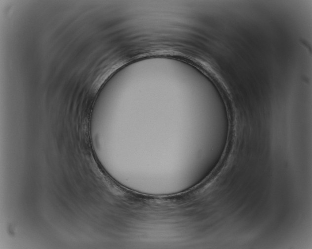 X0000102031281200807180958