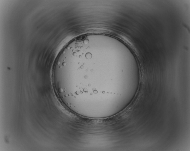 X0000102031283200807180958
