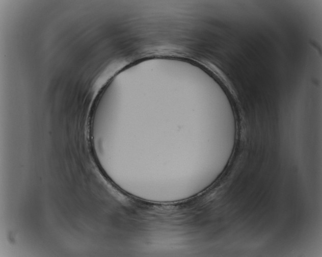 X0000102031285200807180958