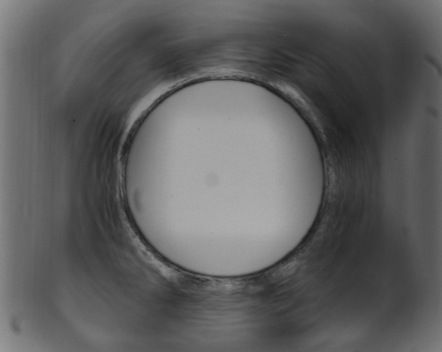X0000102031286200807180958