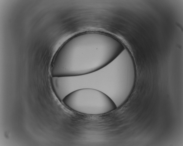 X0000102031287200807180958