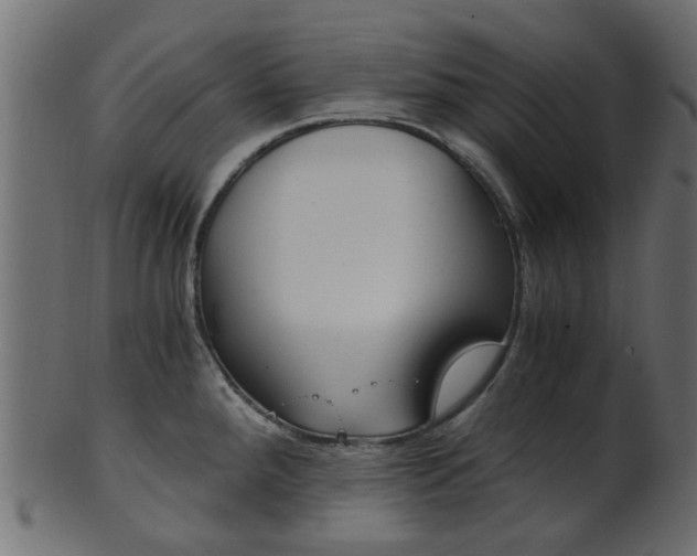 X0000102031288200807180958