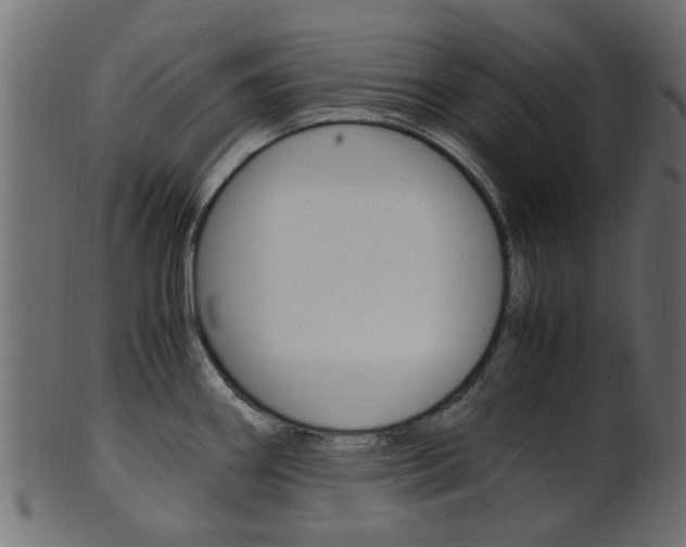 X0000102031290200807180958