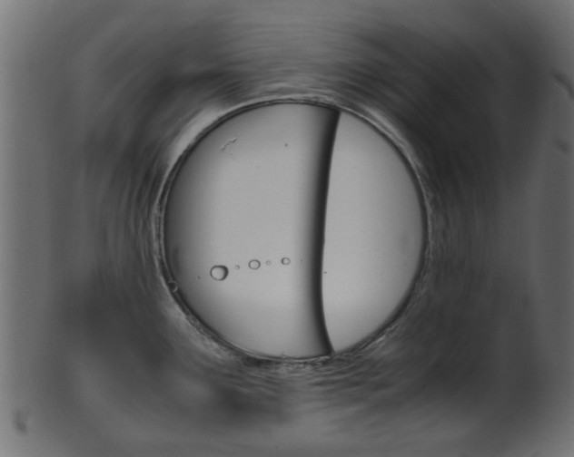 X0000102031291200807180958