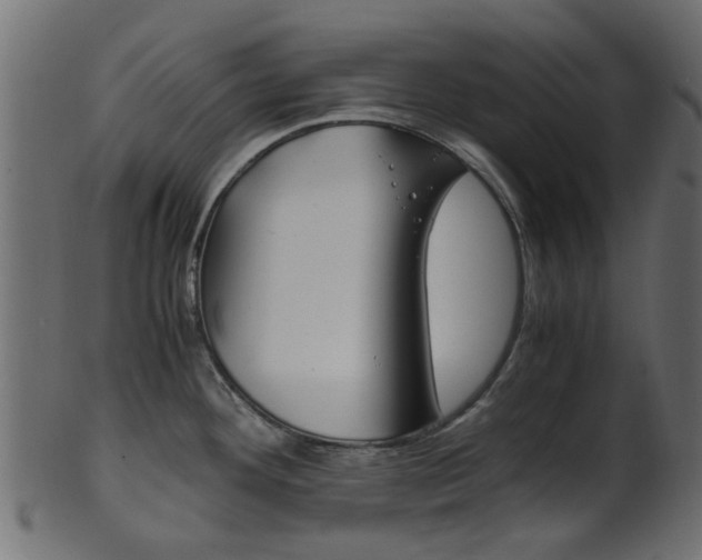 X0000102031292200807180958