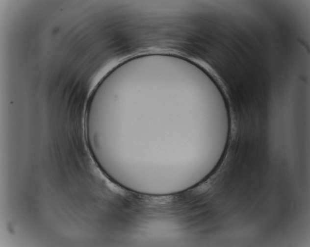 X0000102031294200807180957