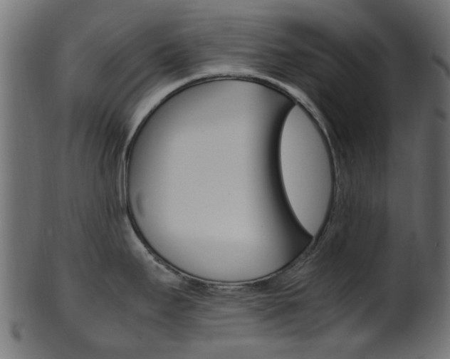 X0000102031295200807180957