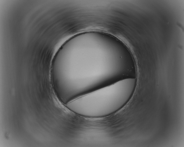 X0000102031296200807180957