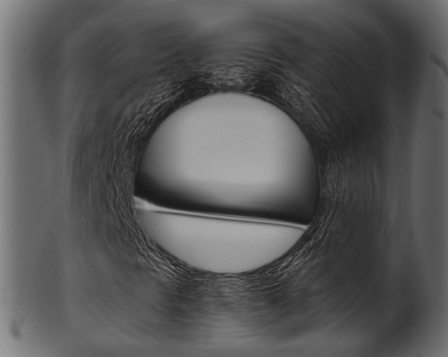 X0000102031297200807180957