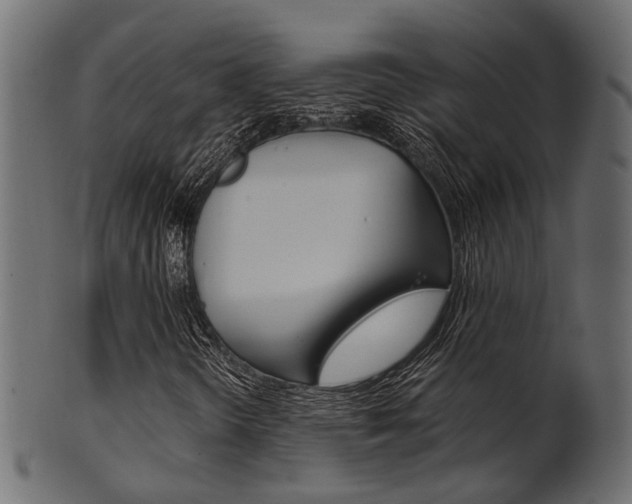 X0000102031298200807180957