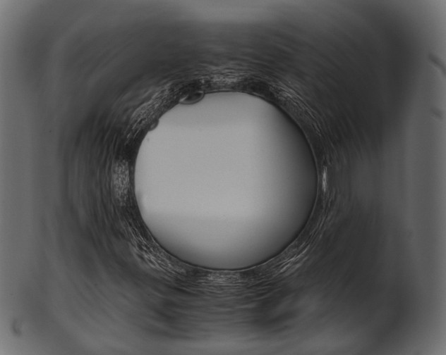 X0000102031299200807180957