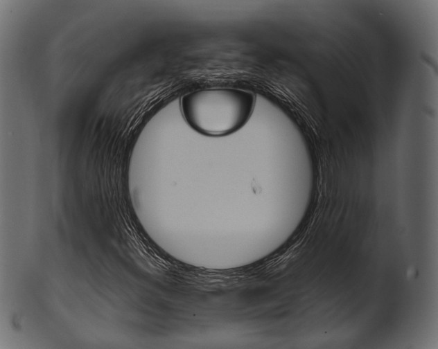 X0000102031300200807180957